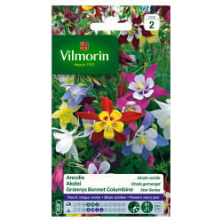 Semences d'ancolie étoile variée VILMORIN – Fleurs éclatantes | VILMORIN