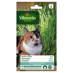 Semences d'herbe à chat VILMORIN