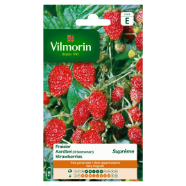 Semences de fraisier Suprème VILMORIN
