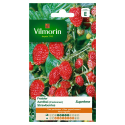 Semences de fraisier Suprème VILMORIN – Récolte Abondante | VILMORIN