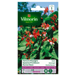 Semences Haricot d'Espagne Varié VILMORIN – Récolte Abondante | VILMORIN