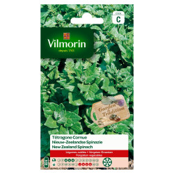 Semences tétragone cornue VILMORIN – Cultivez facilement | VILMORIN