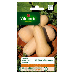 Semences Courge Butternut Waltham – Cultivez Facile | VILMORIN