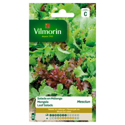 Semences de mesclun 4g VILMORIN – Cultivez votre salade | VILMORIN