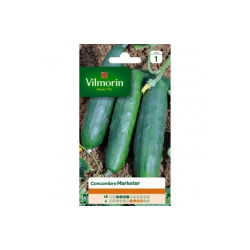 Semences de concombre Marketer – Récolte Abondante | VILMORIN