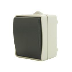 Prise de courant grise Plexo 55 LEGRAND