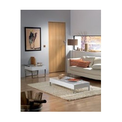 Lame pour porte accordéon Axia