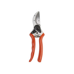 Sécateur perroquet Hobby