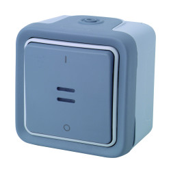 Interrupteur à deux pôles avec voyant Plexo LEGRAND