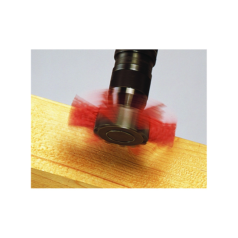 Brosse soucoupe WOLFCRAFT – Gros grain Ø100mm | WOLFCRAFT Brosse soucoupe WOLFCRAFT – Gros grain Ø100mm | WOLFCRAFT