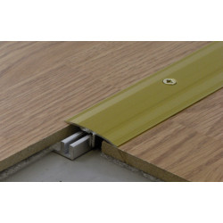 Barre de seuil extra plat aluminium anodisé or 33/93