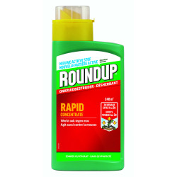 Désherbant et antimousse Rapid Concentrate 0,54 L ROUNDUP