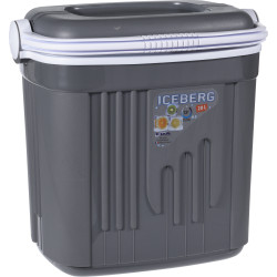 Glacière grise 20 L