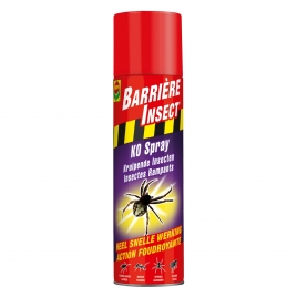 Spray contre les insectes rampants 300 ml COMPO