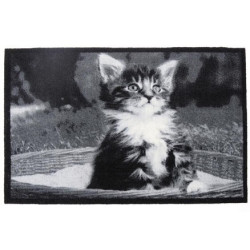 Paillasson Chat Élégance 40x60cm – Décoration & Propreté