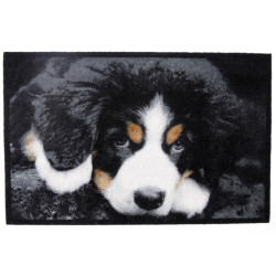 Paillasson Élégance Chien 40x60cm – Déco & Pratique