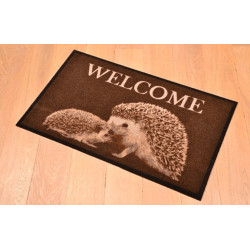 Paillasson Élégance Welcome 40x60cm – Décoratif | ADVOTEX