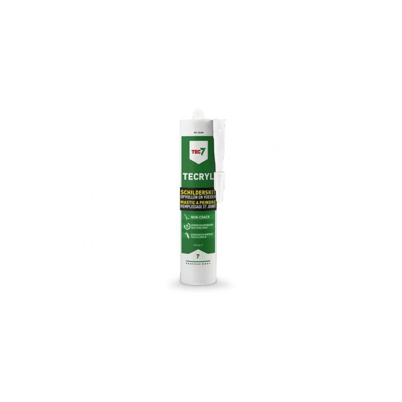 Mastic à peindre Tecryl 310 ml TEC7