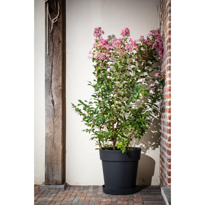 Pot de fleurs noir Star Ø 18,5 cm – Élégance Jardin | GARDEN ID Pot de fleurs noir Star Ø 18,5 cm – Élégance Jardin | GARDEN ID