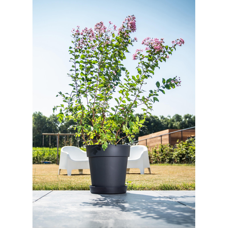 Pot de fleurs noir Star Ø 26 cm – Élégance et Durabilité | GARDEN ID Pot de fleurs noir Star Ø 26 cm – Élégance et Durabilité | GARDEN ID