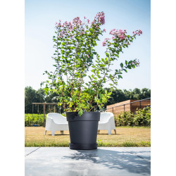 Pot de fleurs noir Star Ø 42x40 cm – Élégance Jardin | GARDEN ID Pot de fleurs noir Star Ø 42x40 cm – Élégance Jardin | GARDEN ID