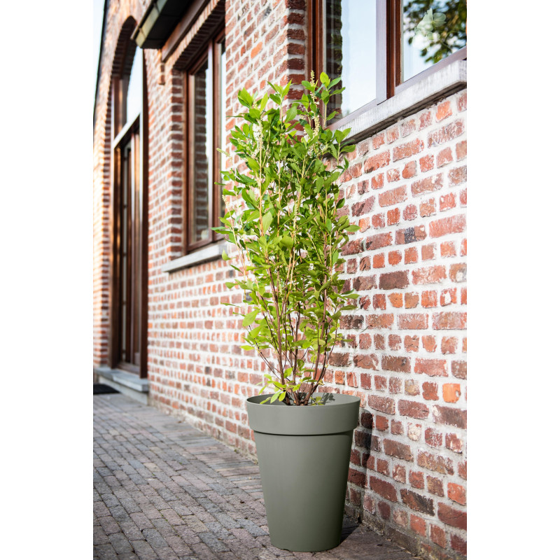 Pot de fleurs Star High Ø 33x40cm – Élégance Verte | GARDEN ID Pot de fleurs Star High Ø 33x40cm – Élégance Verte | GARDEN ID