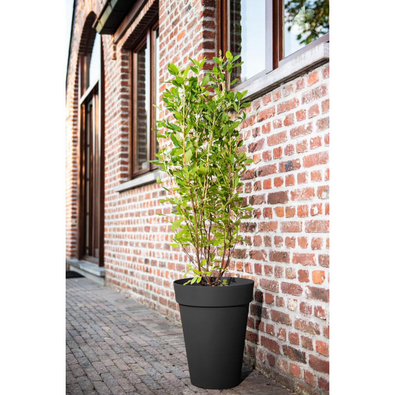 Pot de fleurs Star High noir – Élégance du jardin | GARDEN ID Pot de fleurs Star High noir – Élégance du jardin | GARDEN ID