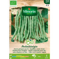 Semences de haricot « Neckarkönigin » bio – jardinage facile | VILMORIN
