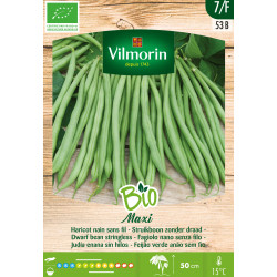 Semences Haricot Nain Maxi Bio – Récolte Abondante | VILMORIN