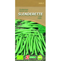 Semences Haricot Nain Slenderette Bio – Récolte Abondante | SOMERS