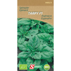 Semences Épinard Tarpy F1 Bio – Qualité Supérieure | SOMERS