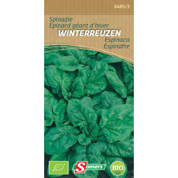 Semences Épinard Géant d'Hiver Bio – Récolte Abondante | SOMERS

