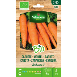 Semences Carotte Berlicum 2 Bio – Récolte Abondante | VILMORIN