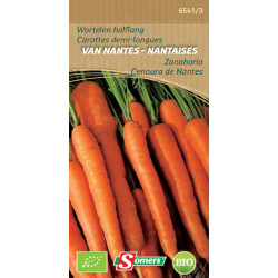Semences Carotte Nantaise Bio – Récolte Abondante | SOMERS