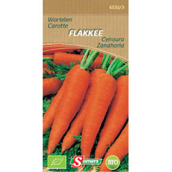 Semences Carotte Flakkee Bio SOMERS – Qualité Bio | SOMERS