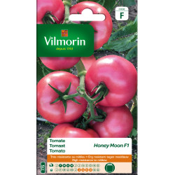 Semences Tomate Honey Moon – Saveur Sucrée | VILMORIN
