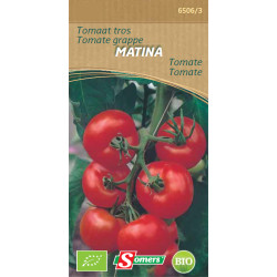 Semences Tomate Matina Bio – Saveur Authentique | SOMERS