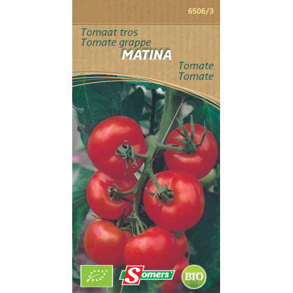 Semences de tomate grappe Matina Bio SOMERS