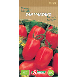 Semences Tomate San Marzano Bio SOMERS – Saveur Authentique | SOMERS