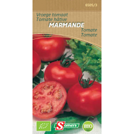 Semences de tomate Marmande Bio SOMERS