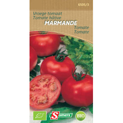 Semences Tomate Marmande Bio – Saveur Authentique | SOMERS