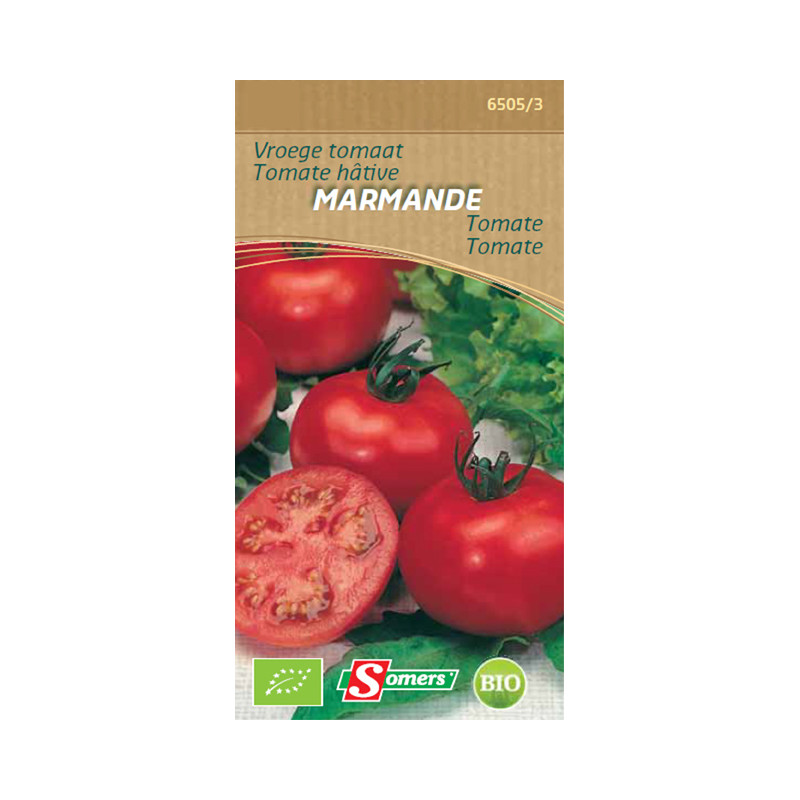 Semences de tomate Marmande Bio SOMERS