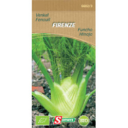 Semences Fenouil Firenze Bio SOMERS – Cultivez Facilement | SOMERS
