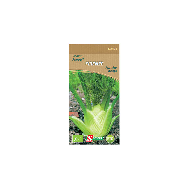 Semences de fenouil Firenze Bio SOMERS