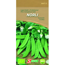 Semences de pois nain Norli bio SOMERS – culture facile | SOMERS