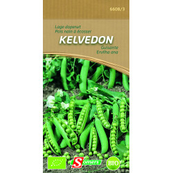 Semences de pois nain Kelvedon Bio SOMERS