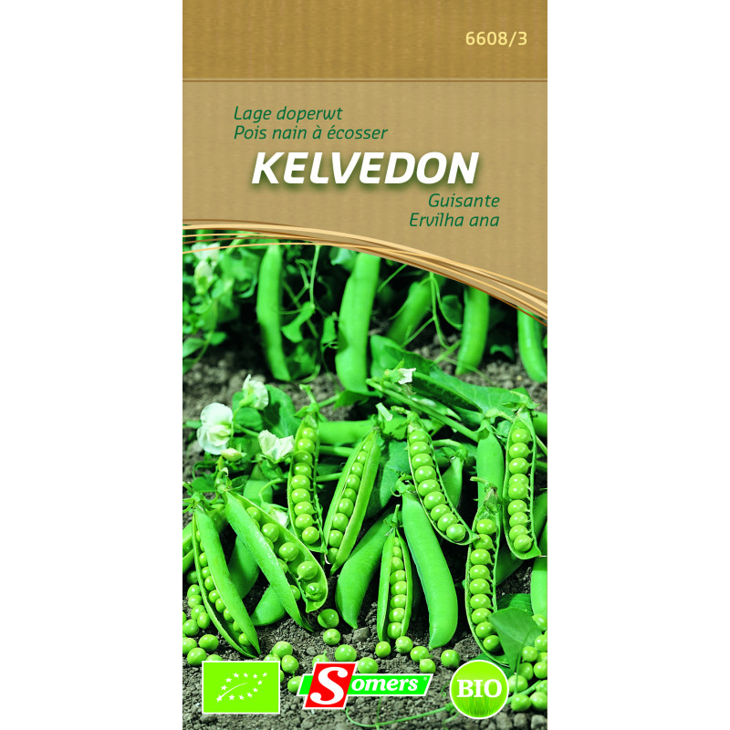 Semences de pois nain Kelvedon Bio SOMERS