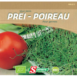 Semences de germes de poireau Bio SOMERS – Cultivez sainement | SOMERS