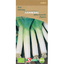 Semences Poireau Hannibal Bio – Culture Facile | SOMERS