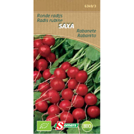 Semences de radis Saxa Bio SOMERS